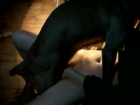 Homemade beastiality sex with dog and sexy lady
